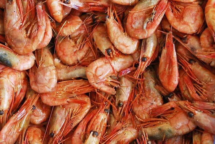 Räkor på fiskrestaurangen